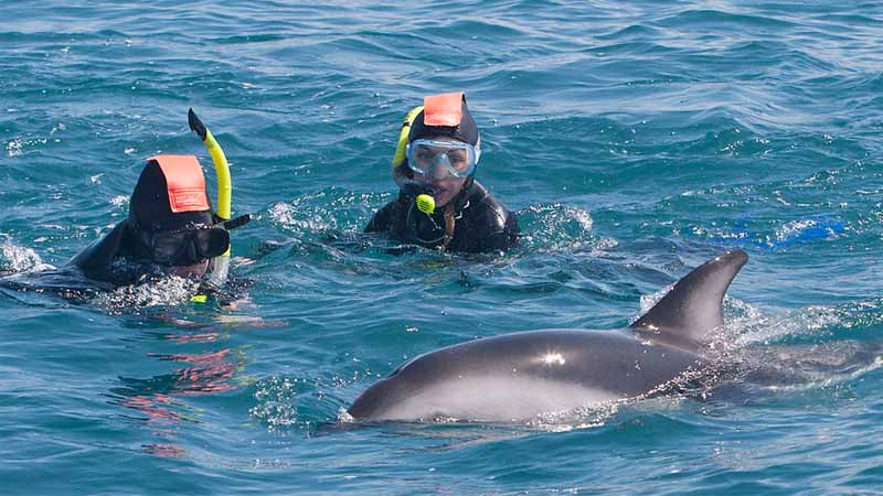 Great snorkelling 